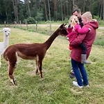 Ferienbauernhof Ennenhof *