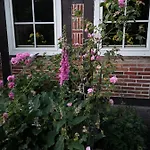 Ferienbauernhof Ennenhof Appartamento *