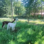 Apartament Ferienbauernhof Ennenhof Schneverdingen