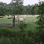 Lejlighed Ferienbauernhof Ennenhof Schneverdingen