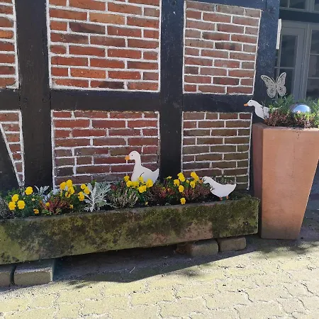 Apartment Ferienbauernhof Ennenhof Schneverdingen