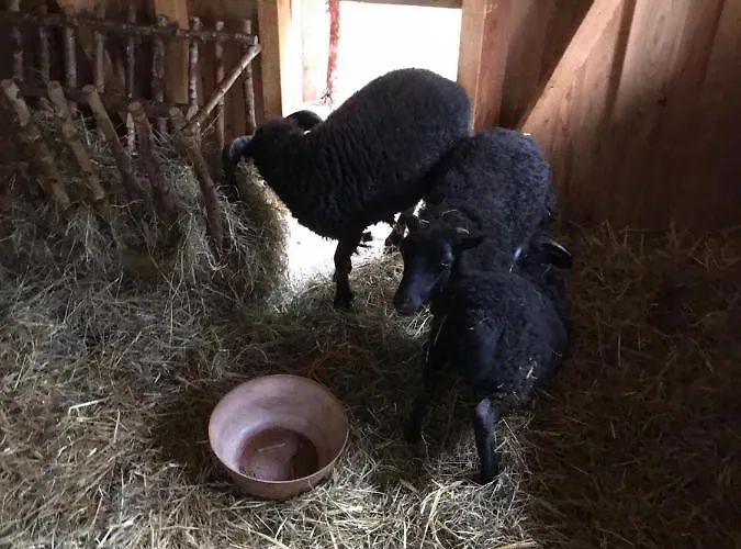 アパート Ferienbauernhof Ennenhof *