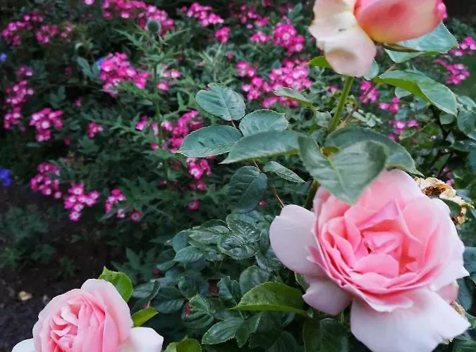 公寓 Ferienbauernhof Ennenhof 施内沃丁根