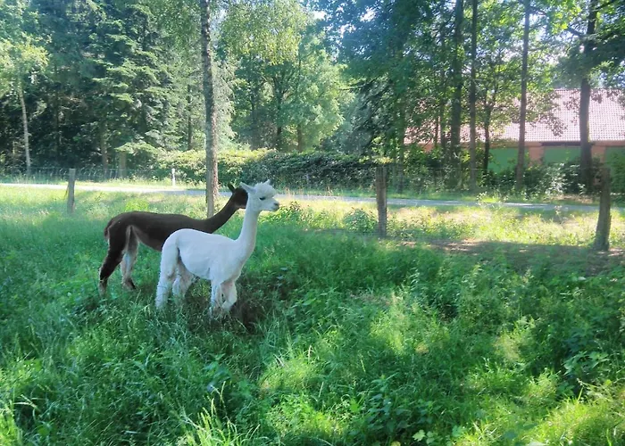 アパート Ferienbauernhof Ennenhof シュネーヴァーディンゲン